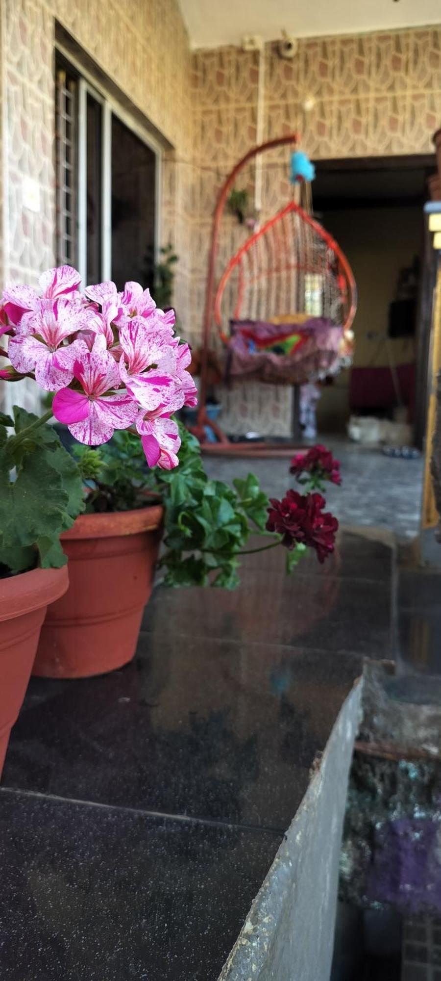 Royal Palm Homestay 마디케리 외부 사진