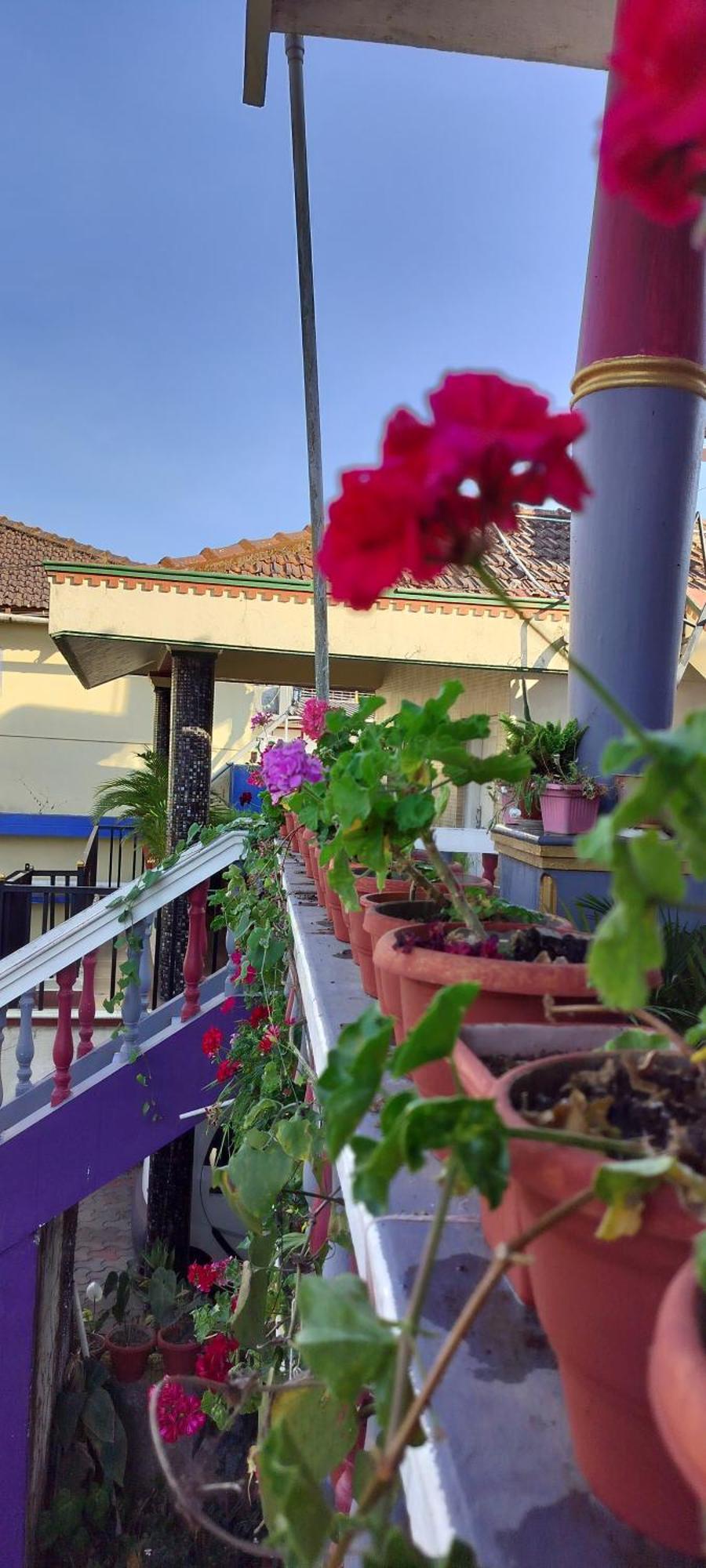 Royal Palm Homestay 마디케리 외부 사진