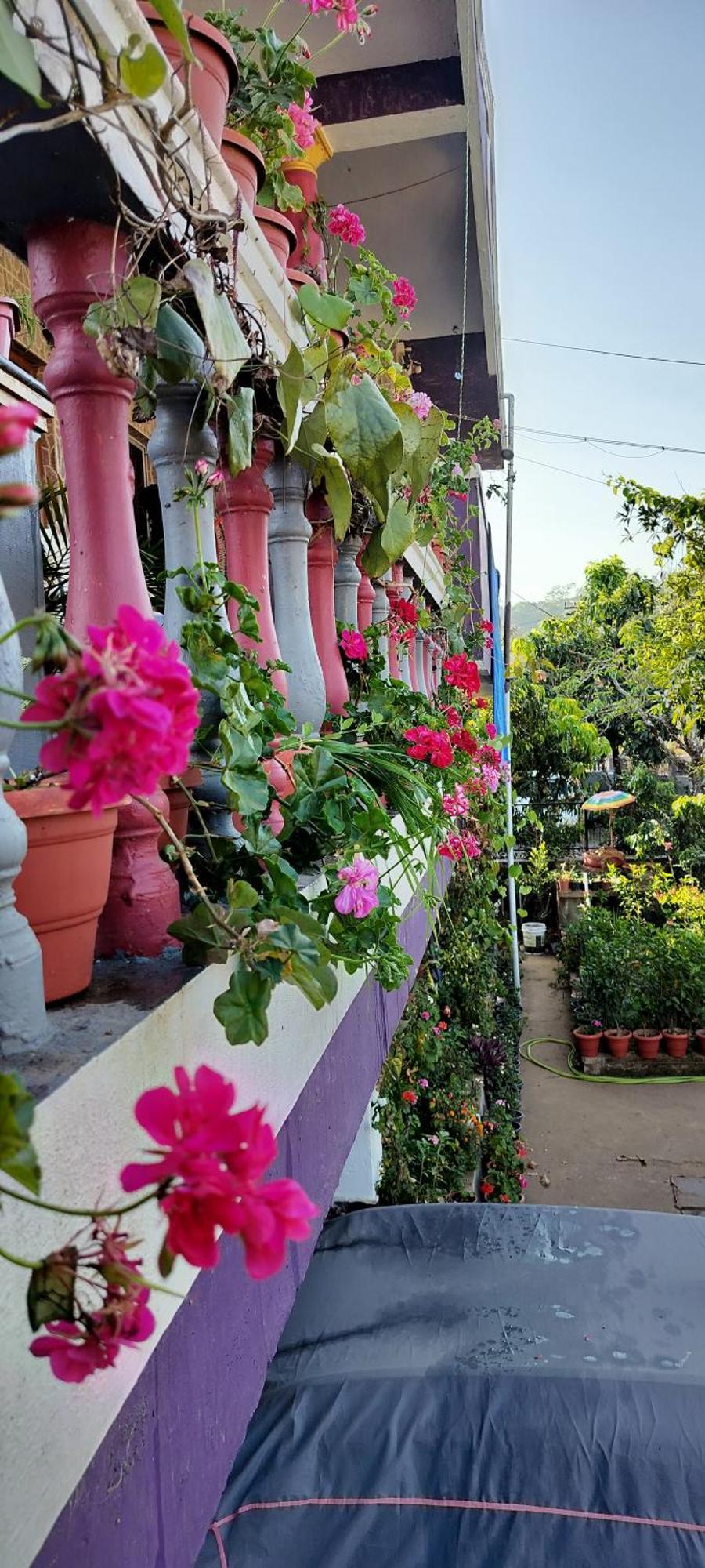 Royal Palm Homestay 마디케리 외부 사진