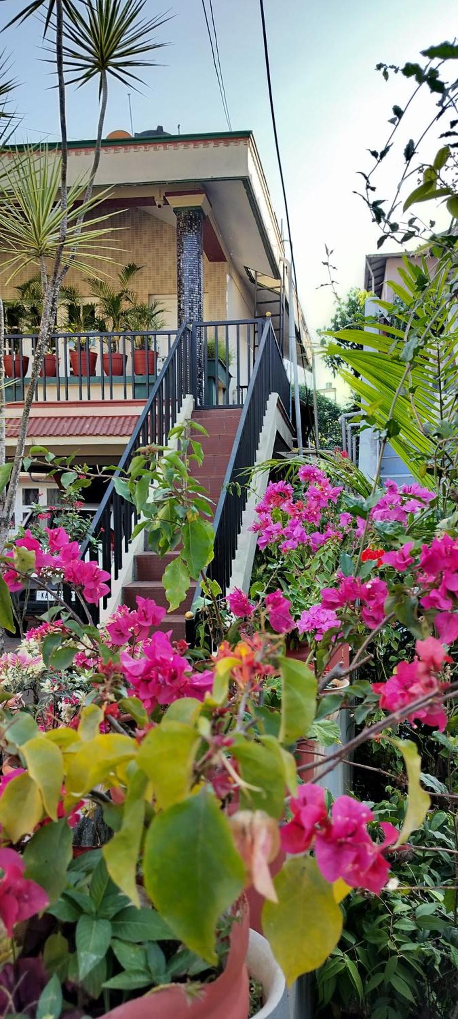 Royal Palm Homestay 마디케리 외부 사진