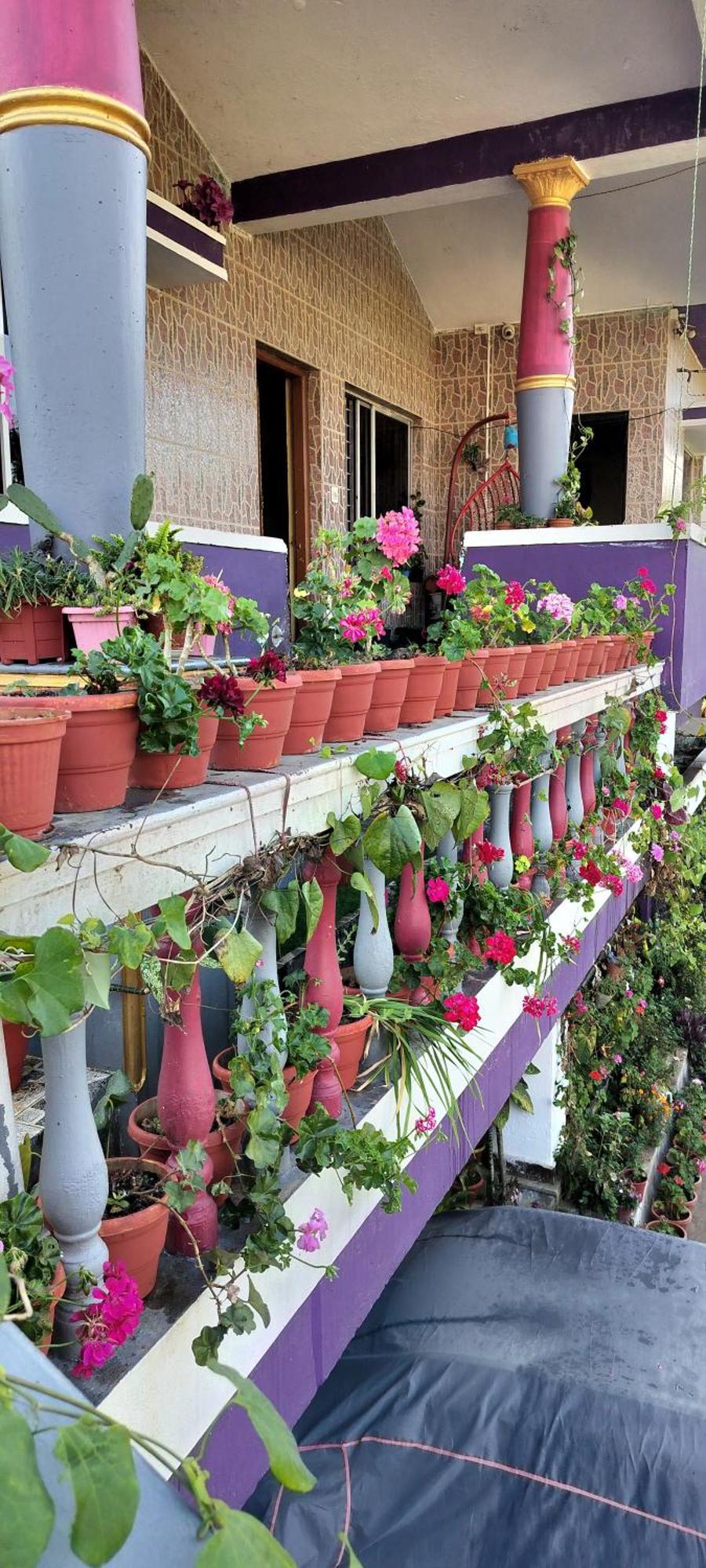 Royal Palm Homestay 마디케리 외부 사진